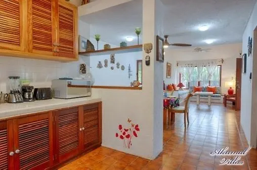 Casita Sunray Private Pool And Beach Access, King Beds Akumal Tatil Evi