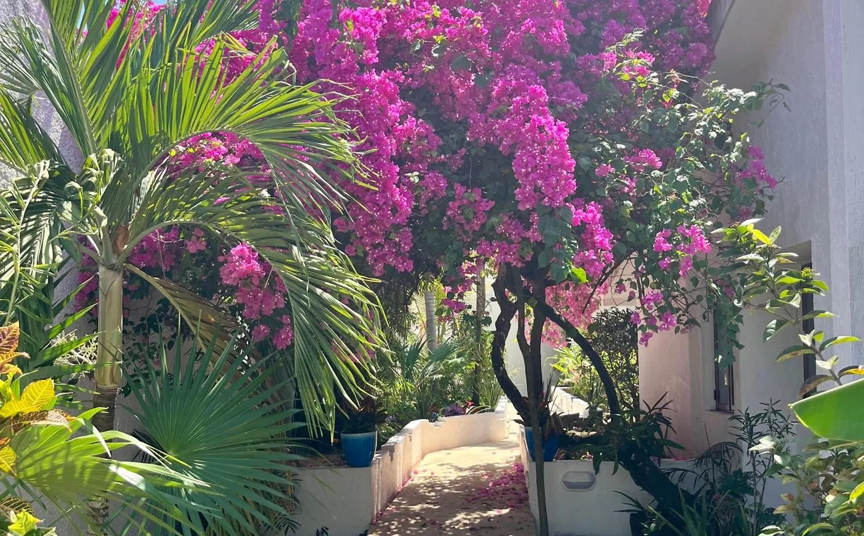 Casita Sunray Private Pool And Beach Access, King Beds Akumal